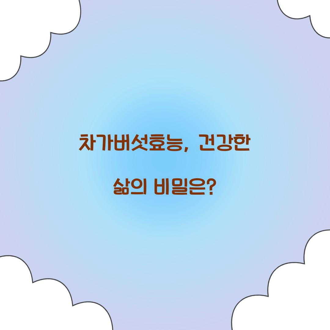 차가버섯효능, 건강한 삶의 비밀은?