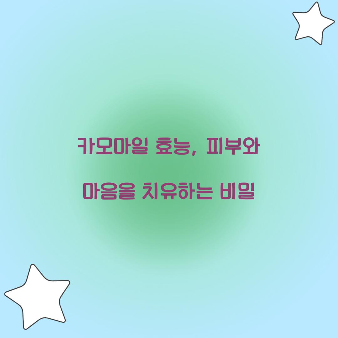 카모마일 효능, 피부와 마음을 치유하는 비밀