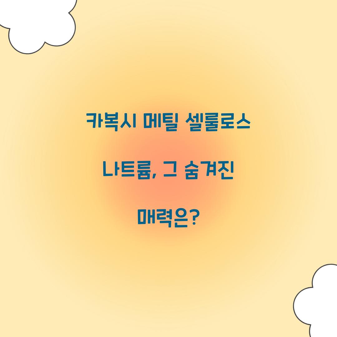 카복시 메틸 셀룰로스 나트륨, 그 숨겨진 매력은?