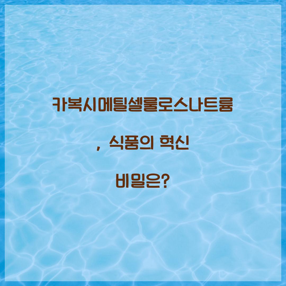 카복시메틸셀룰로스나트륨, 식품의 혁신 비밀은?