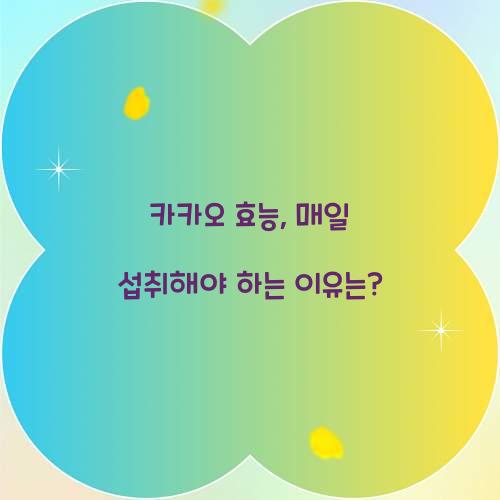 카카오 효능, 매일 섭취해야 하는 이유는?