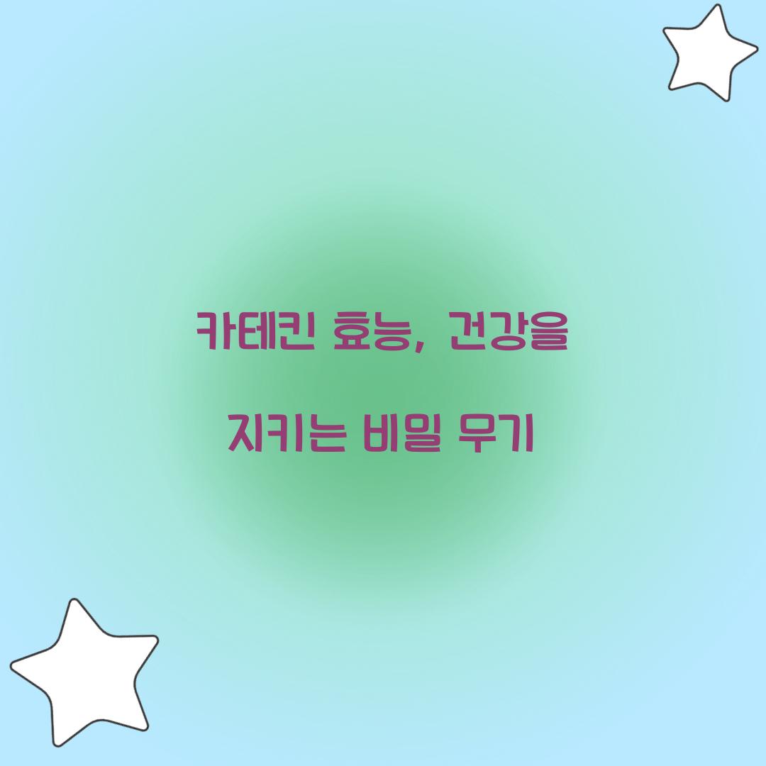 카테킨 효능, 건강을 지키는 비밀 무기