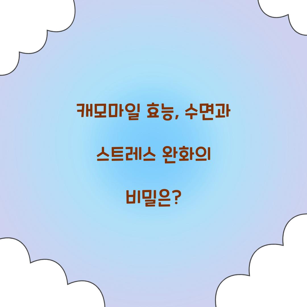 캐모마일 효능, 수면과 스트레스 완화의 비밀은?