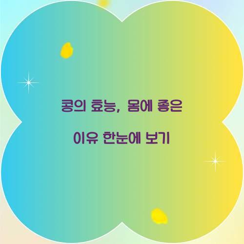 콩의 효능, 몸에 좋은 이유 한눈에 보기