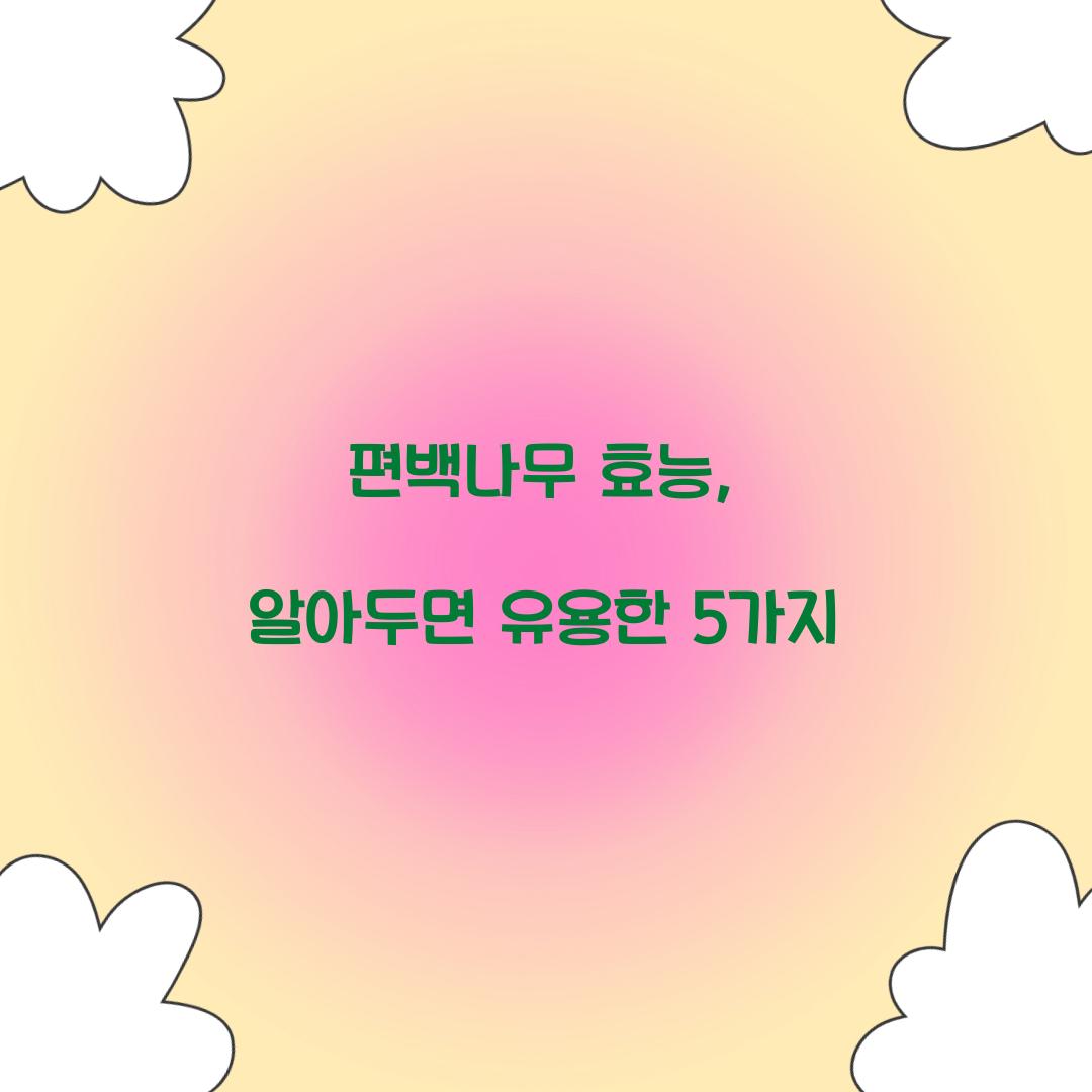 편백나무 효능, 알아두면 유용한 5가지