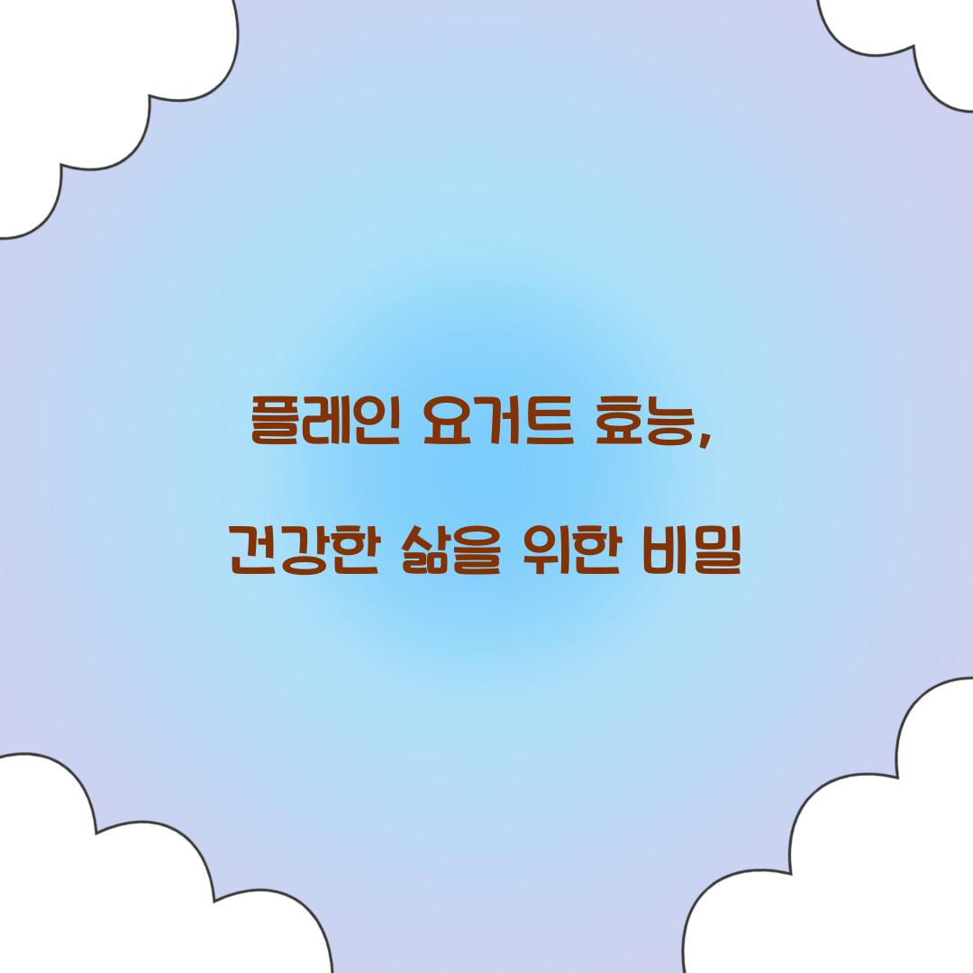 플레인 요거트 효능, 건강한 삶을 위한 비밀