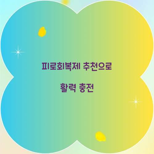 피로회복제 추천으로 활력 충전