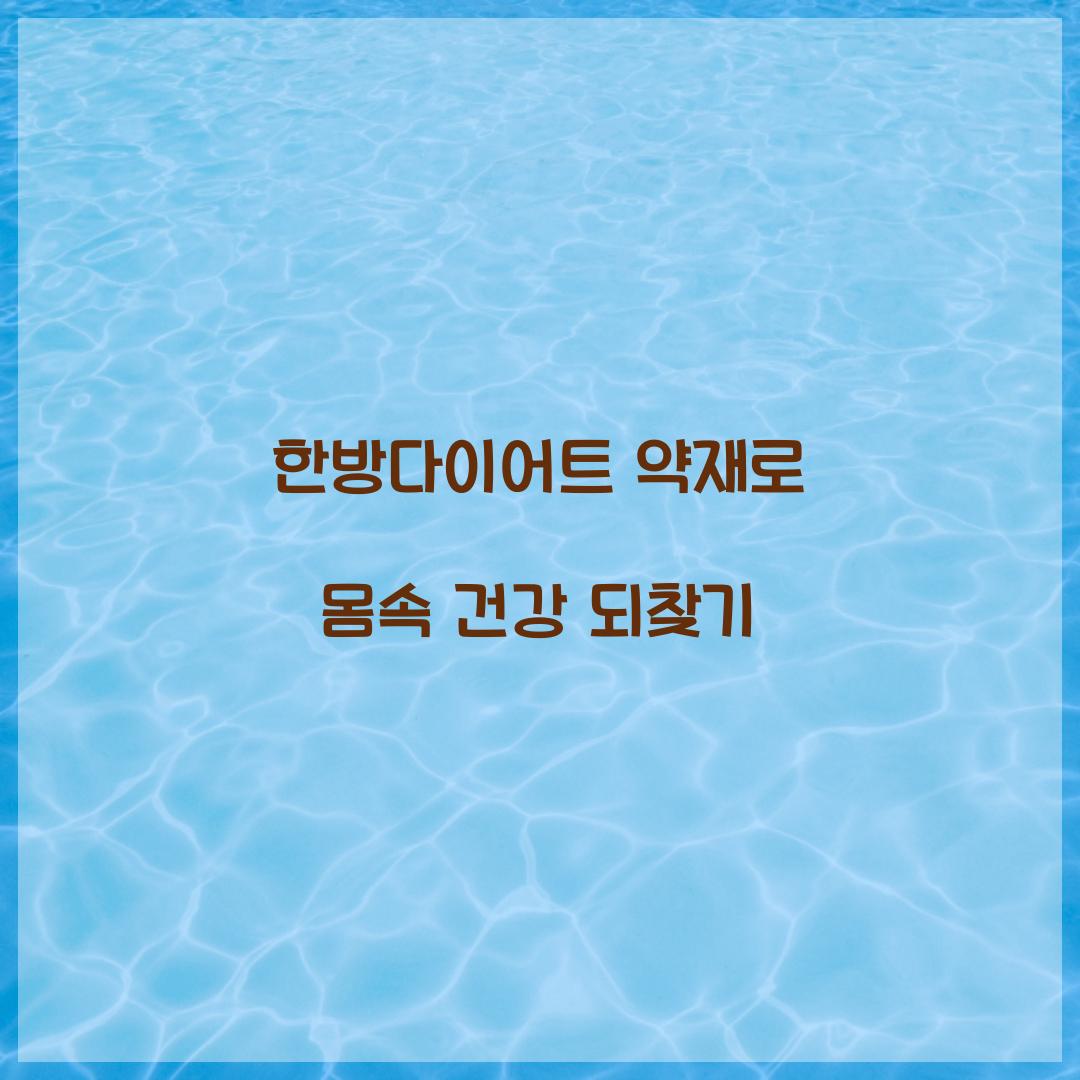 한방다이어트 약재로 몸속 건강 되찾기