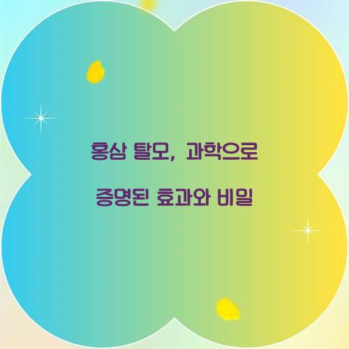 홍삼 탈모, 과학으로 증명된 효과와 비밀