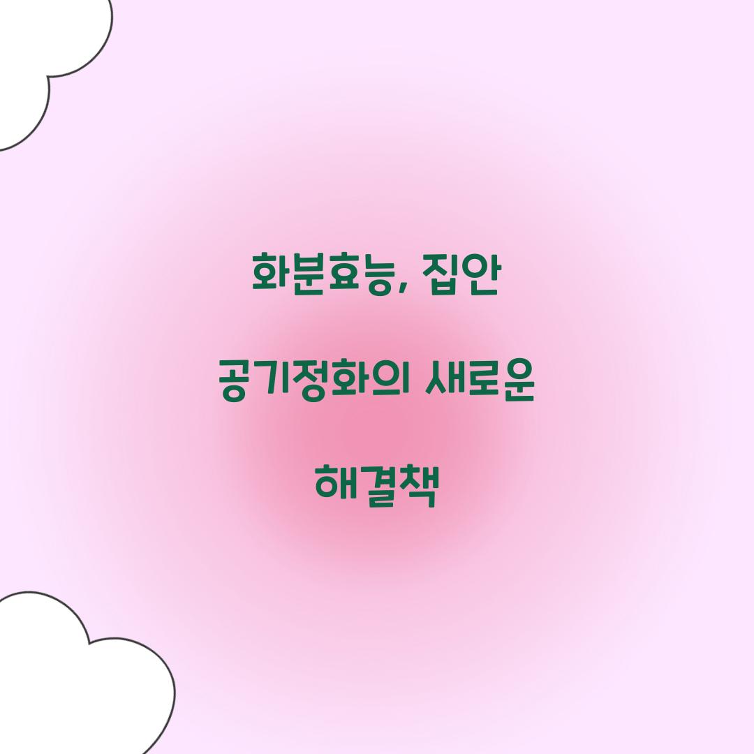 화분효능, 집안 공기정화의 새로운 해결책