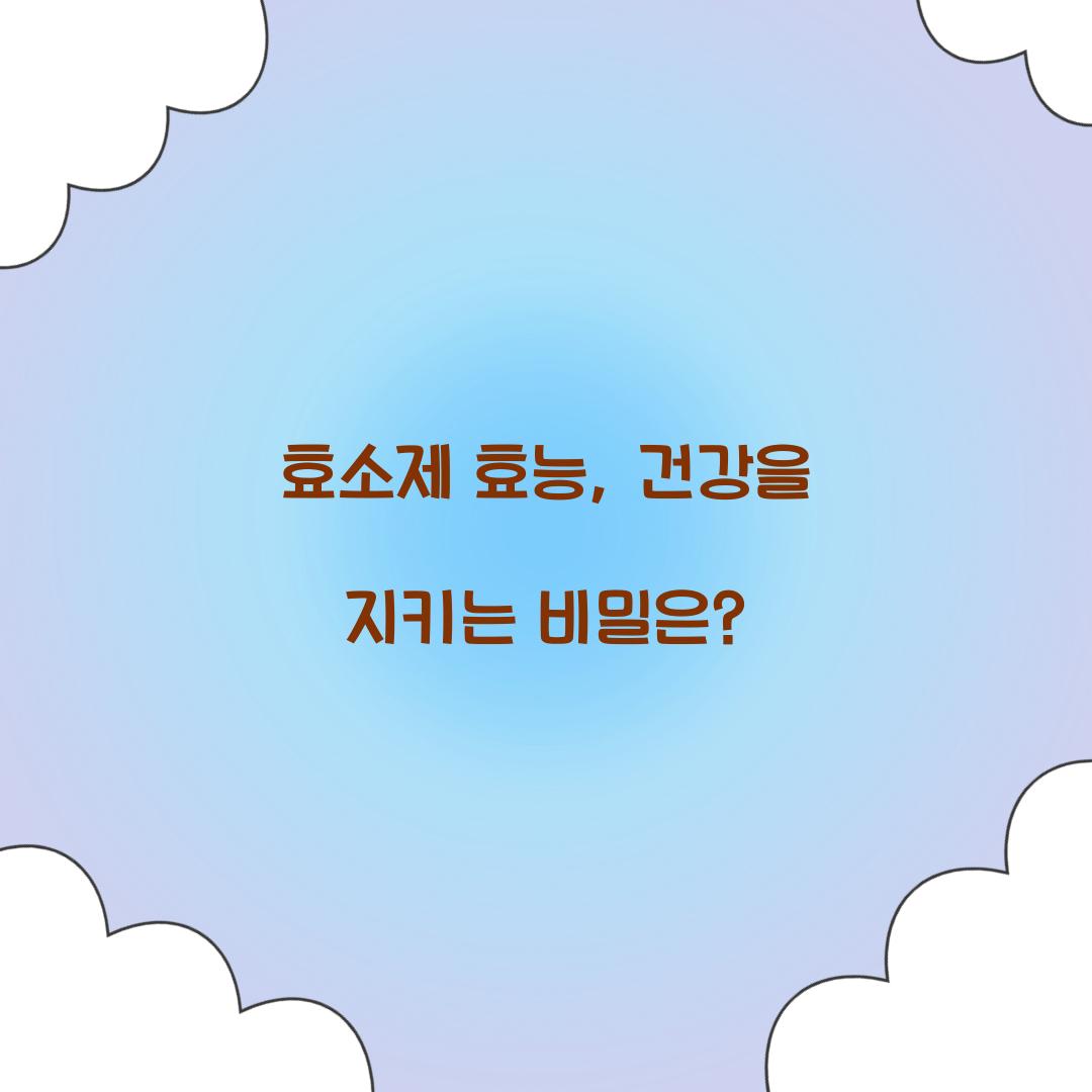 효소제 효능, 건강을 지키는 비밀은?