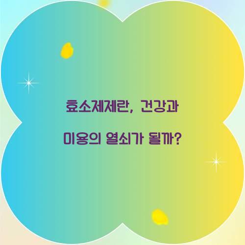 효소제제란, 건강과 미용의 열쇠가 될까?