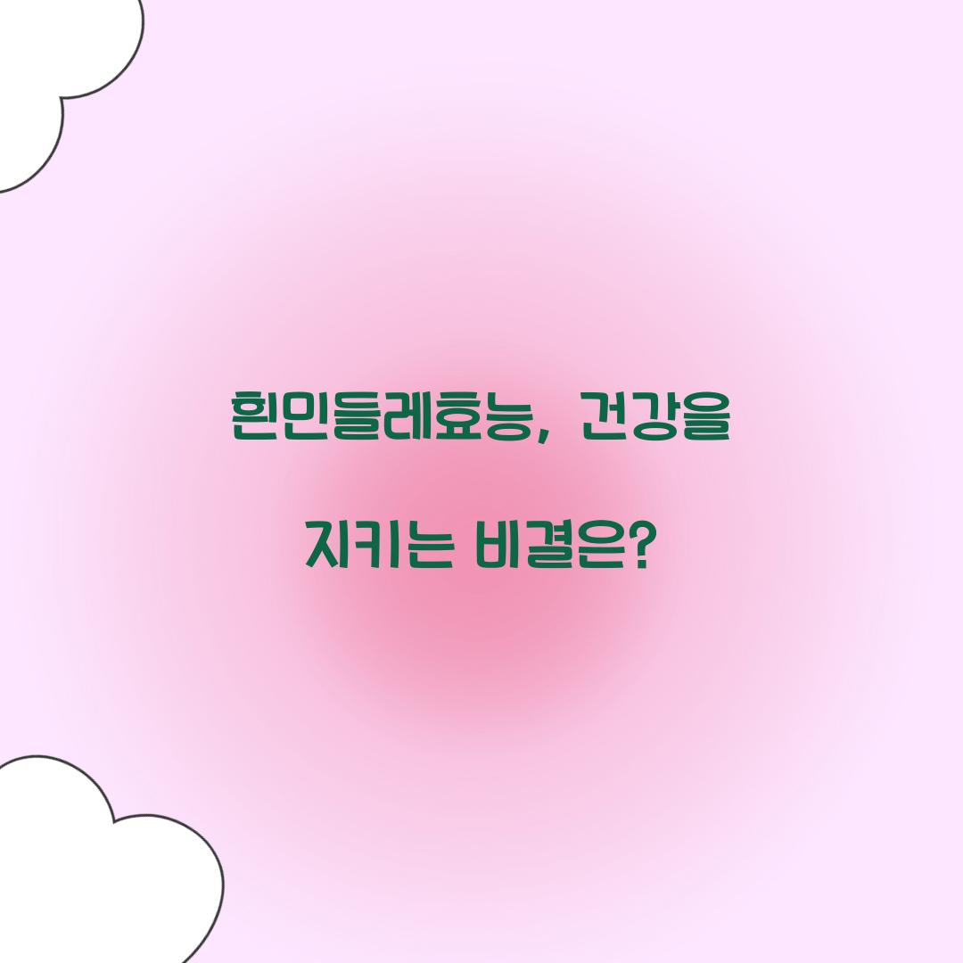 흰민들레효능, 건강을 지키는 비결은?