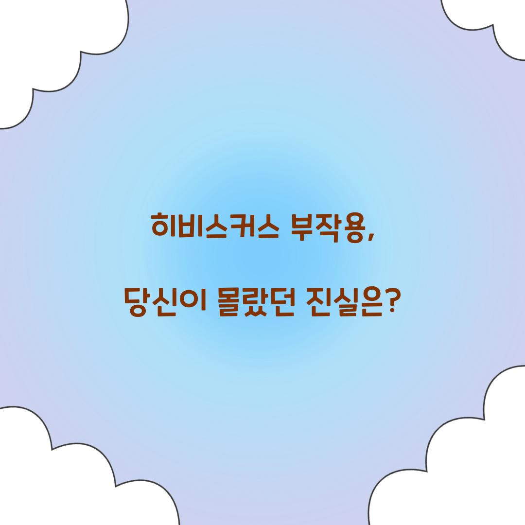히비스커스 부작용, 당신이 몰랐던 진실은?