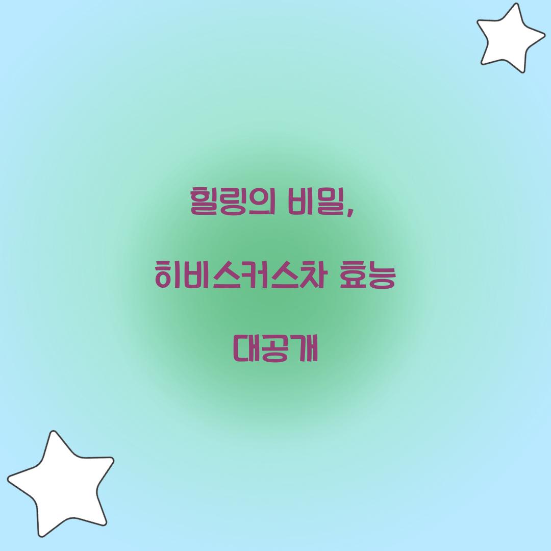 힐링의 비밀, 히비스커스차 효능 대공개