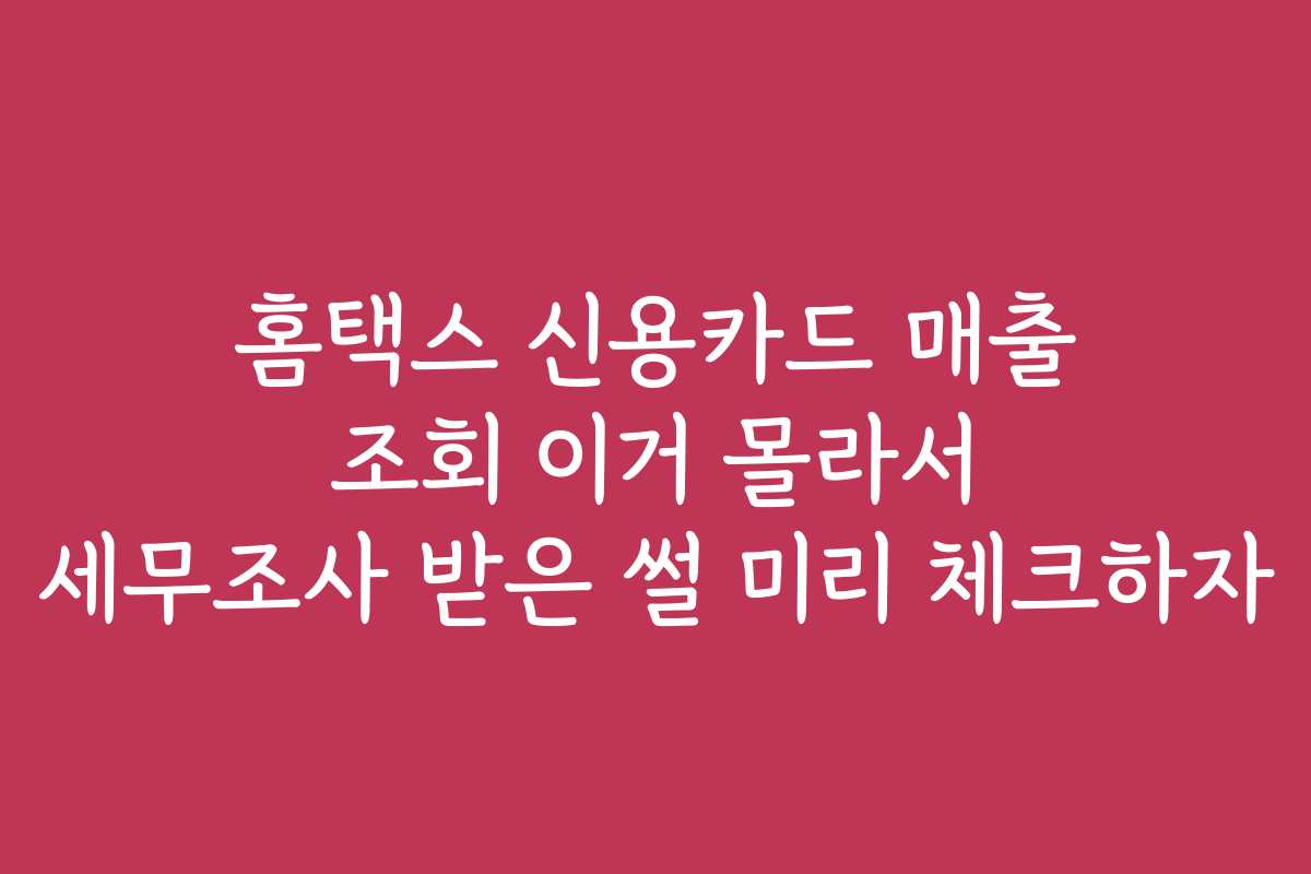 홈택스 신용카드 매출 조회 이거 몰라서 세무조사 받은 썰 미리 체크하자