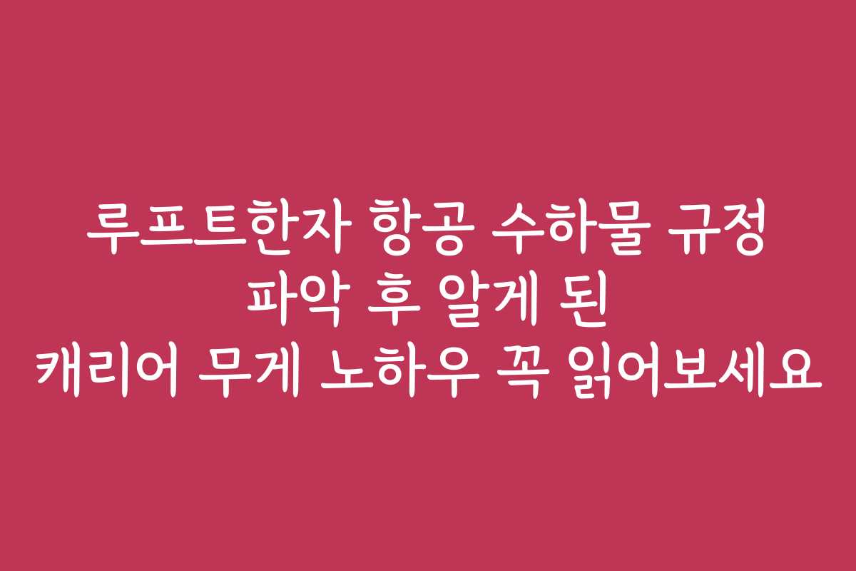 루프트한자 항공 수하물 규정 파악 후 알게 된 캐리어 무게 노하우 꼭 읽어보세요