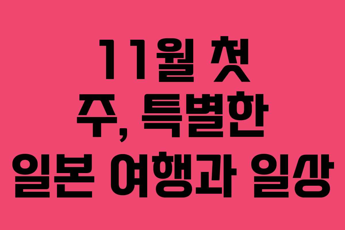 11월 첫 주, 특별한 일본 여행과 일상