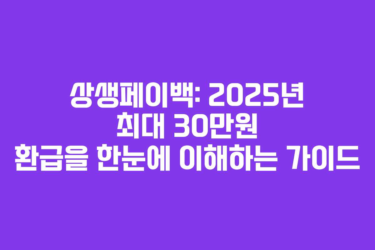상생페이백: 2025년 최대 30만원 환급을 한눈에 이해하는 가이드