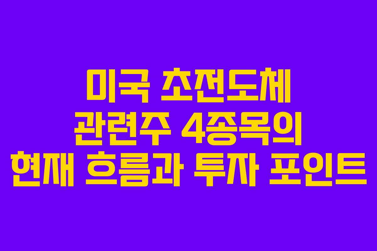 미국 초전도체 관련주 4종목의 현재 흐름과 투자 포인트