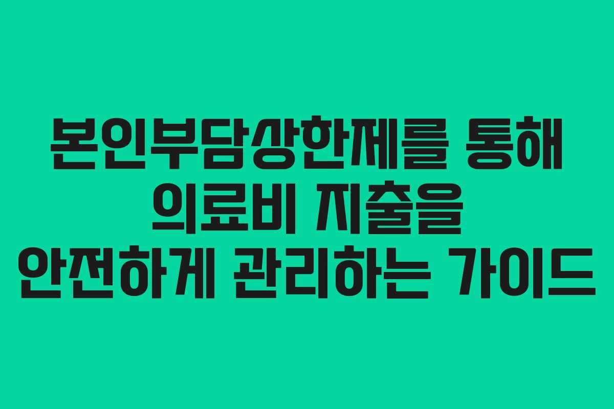 본인부담상한제를 통해 의료비 지출을 안전하게 관리하는 가이드
