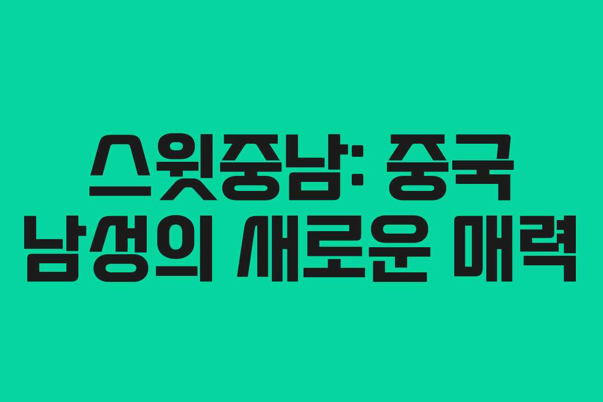 스윗중남: 중국 남성의 새로운 매력