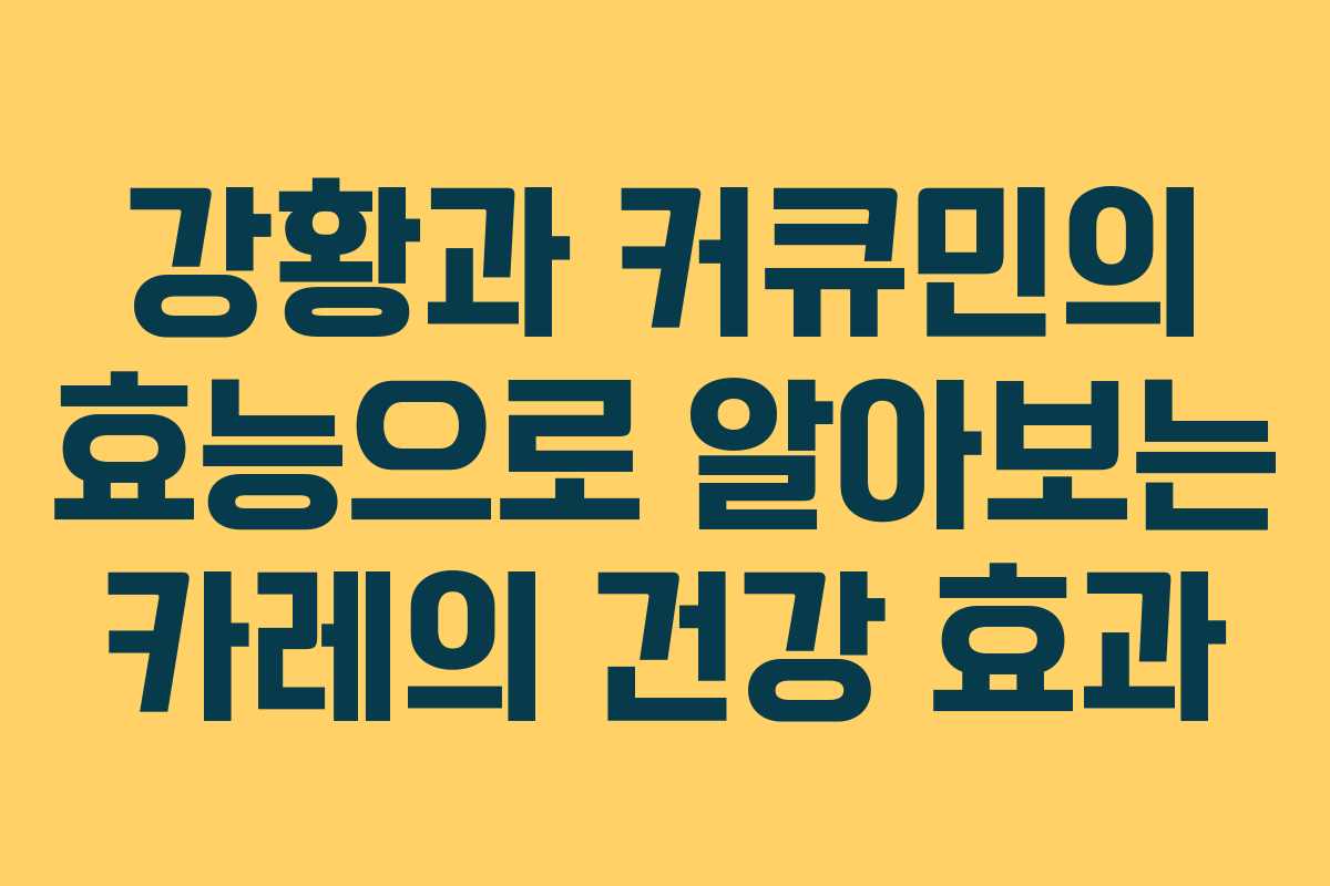 강황과 커큐민의 효능으로 알아보는 카레의 건강 효과