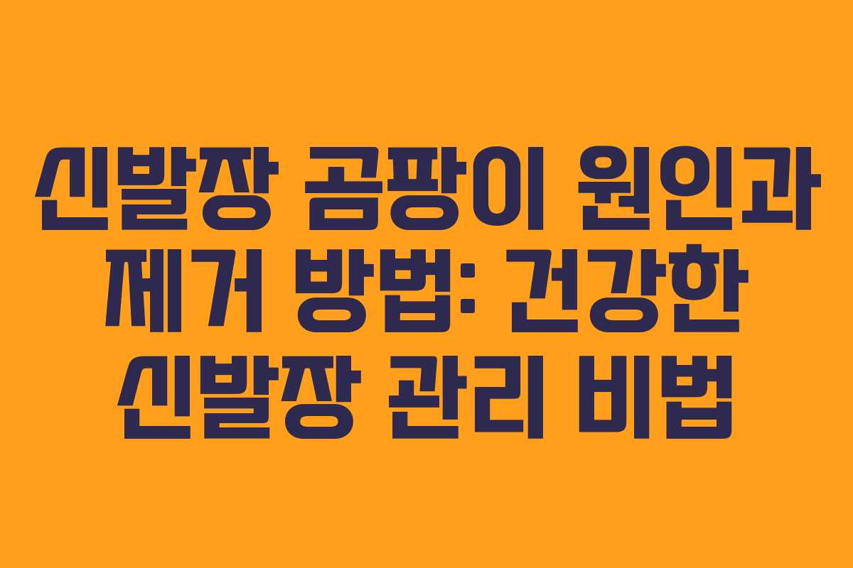 신발장 곰팡이 원인과 제거 방법: 건강한 신발장 관리 비법