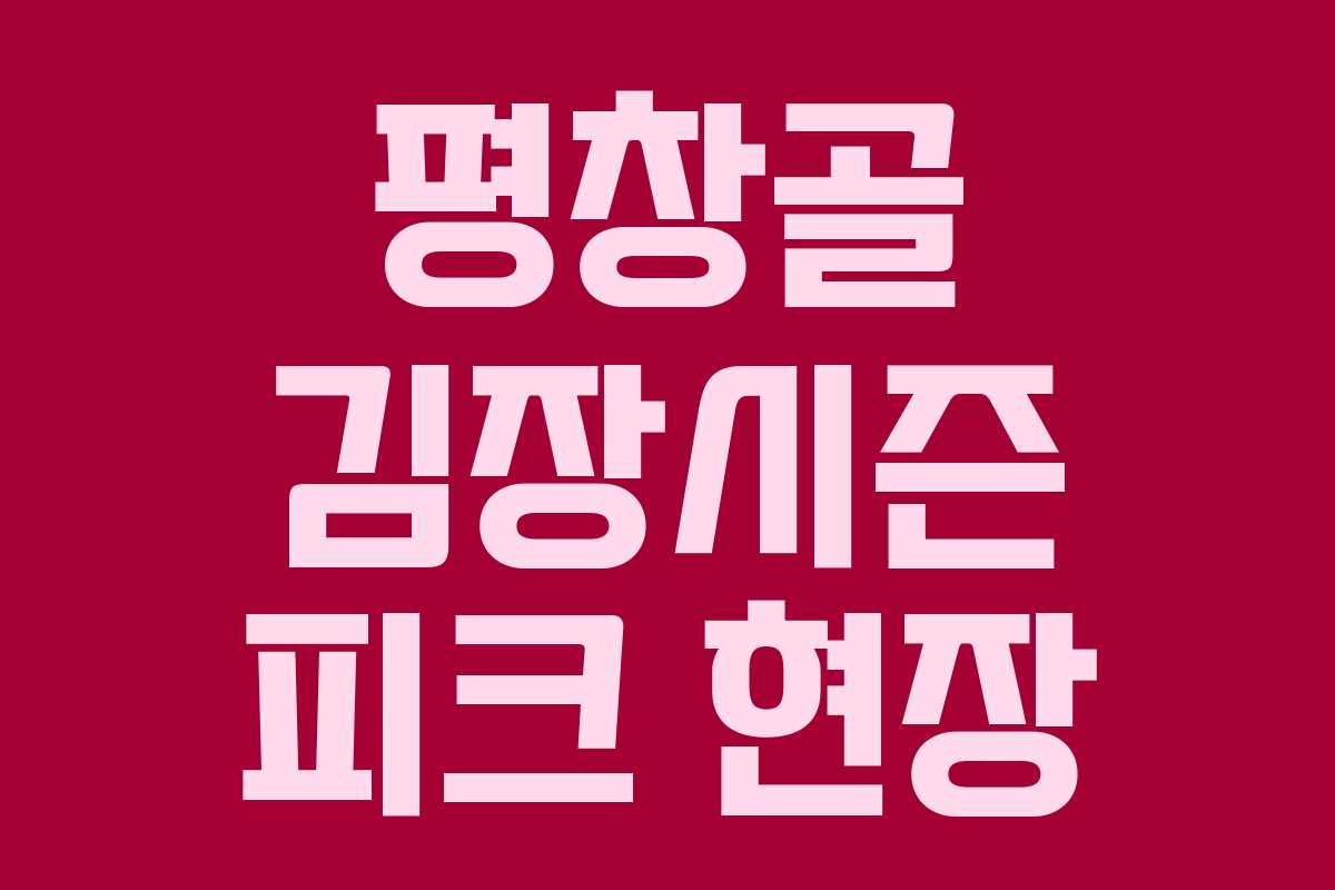 평창골 김장시즌 피크 현장