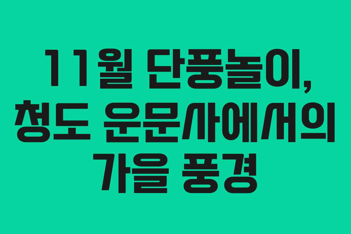 11월 단풍놀이, 청도 운문사에서의 가을 풍경