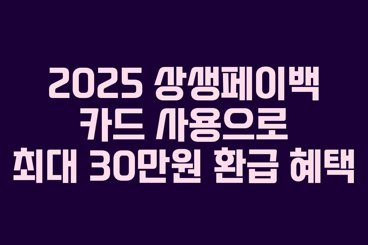 2025 상생페이백 카드 사용으로 최대 30만원 환급 혜택