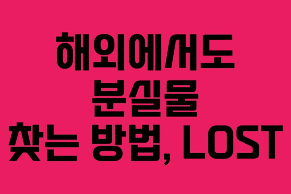 해외에서도 분실물 찾는 방법, LOST
