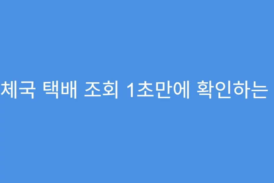 우체국 택배 조회 1초만에 확인하는 앱