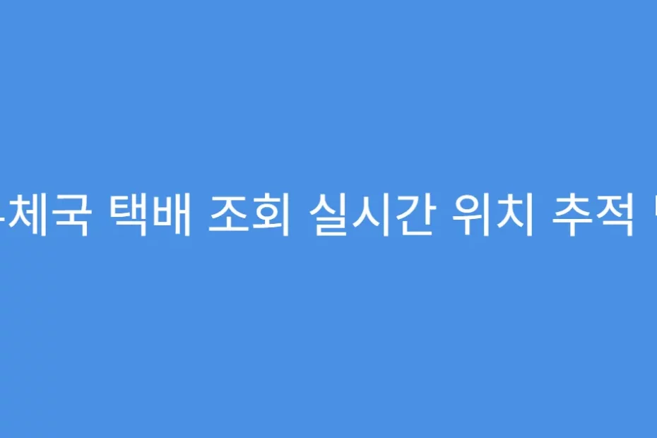 우체국 택배 조회 실시간 위치 추적 팁