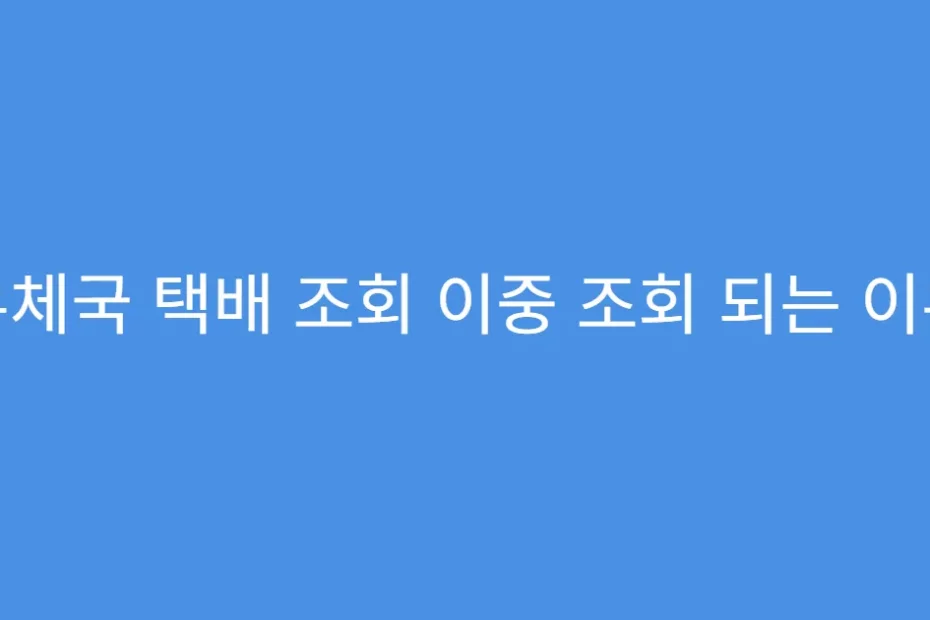 우체국 택배 조회 이중 조회 되는 이유