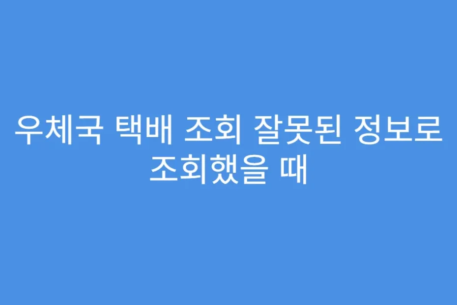 우체국 택배 조회 잘못된 정보로 조회했을 때