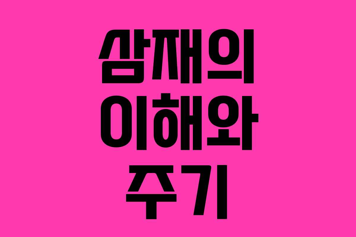 삼재의 이해와 주기