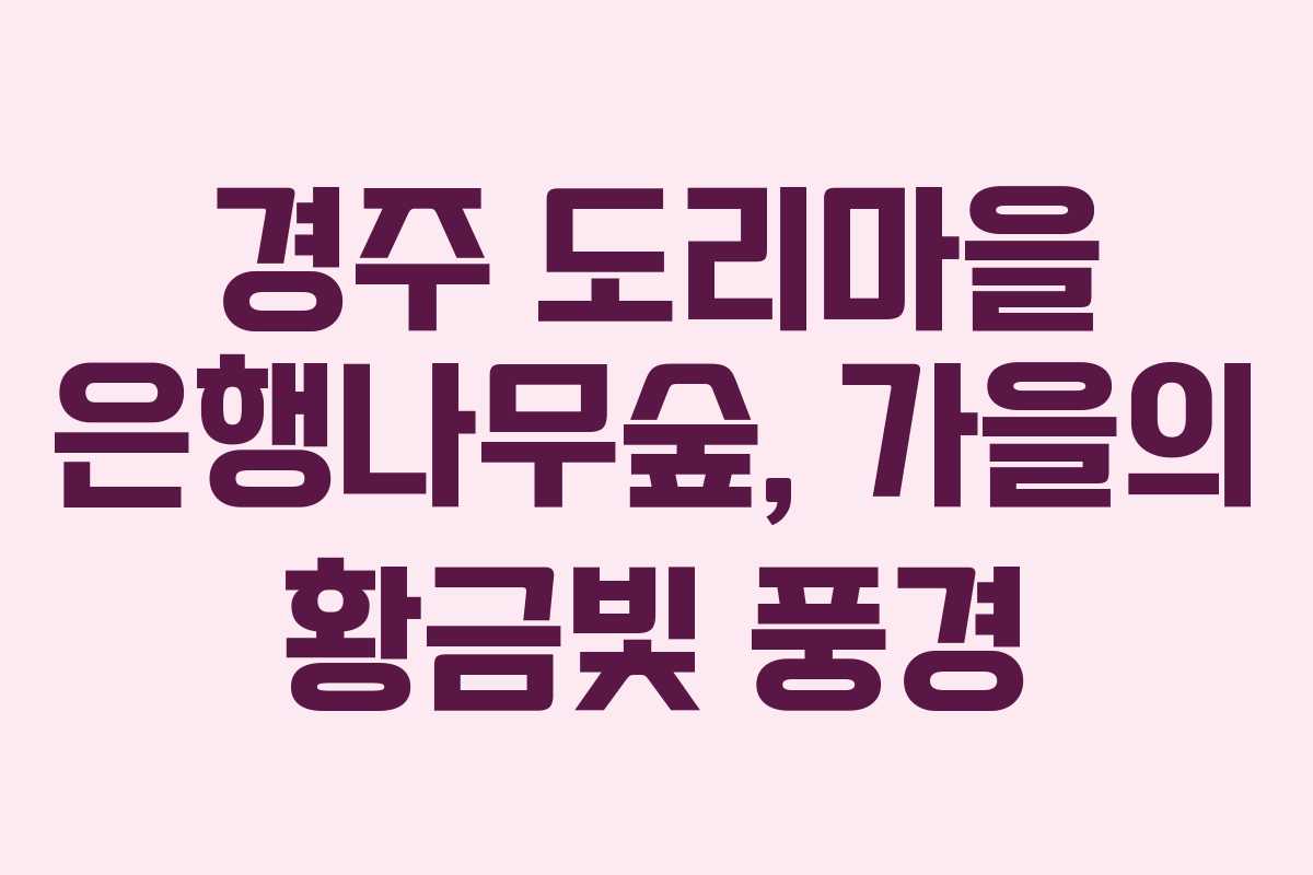 경주 도리마을 은행나무숲, 가을의 황금빛 풍경