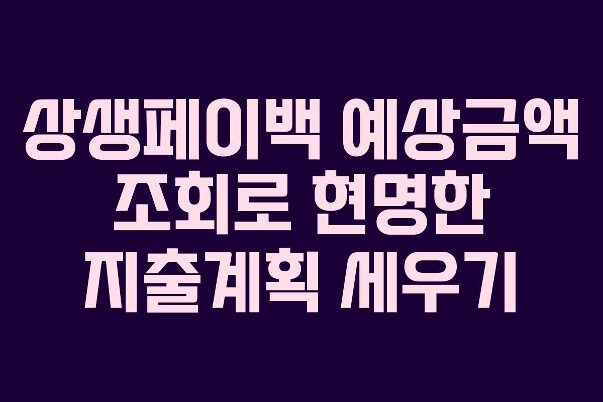 상생페이백 예상금액 조회로 현명한 지출계획 세우기