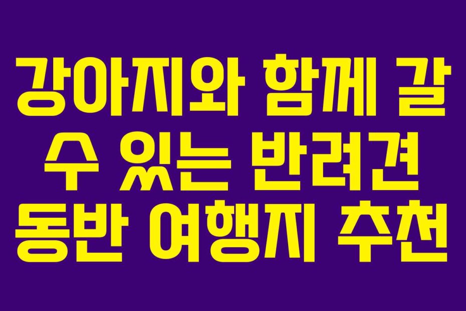 강아지와 함께 갈 수 있는 반려견 동반 여행지 추천