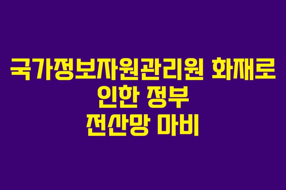 국가정보자원관리원 화재로 인한 정부 전산망 마비