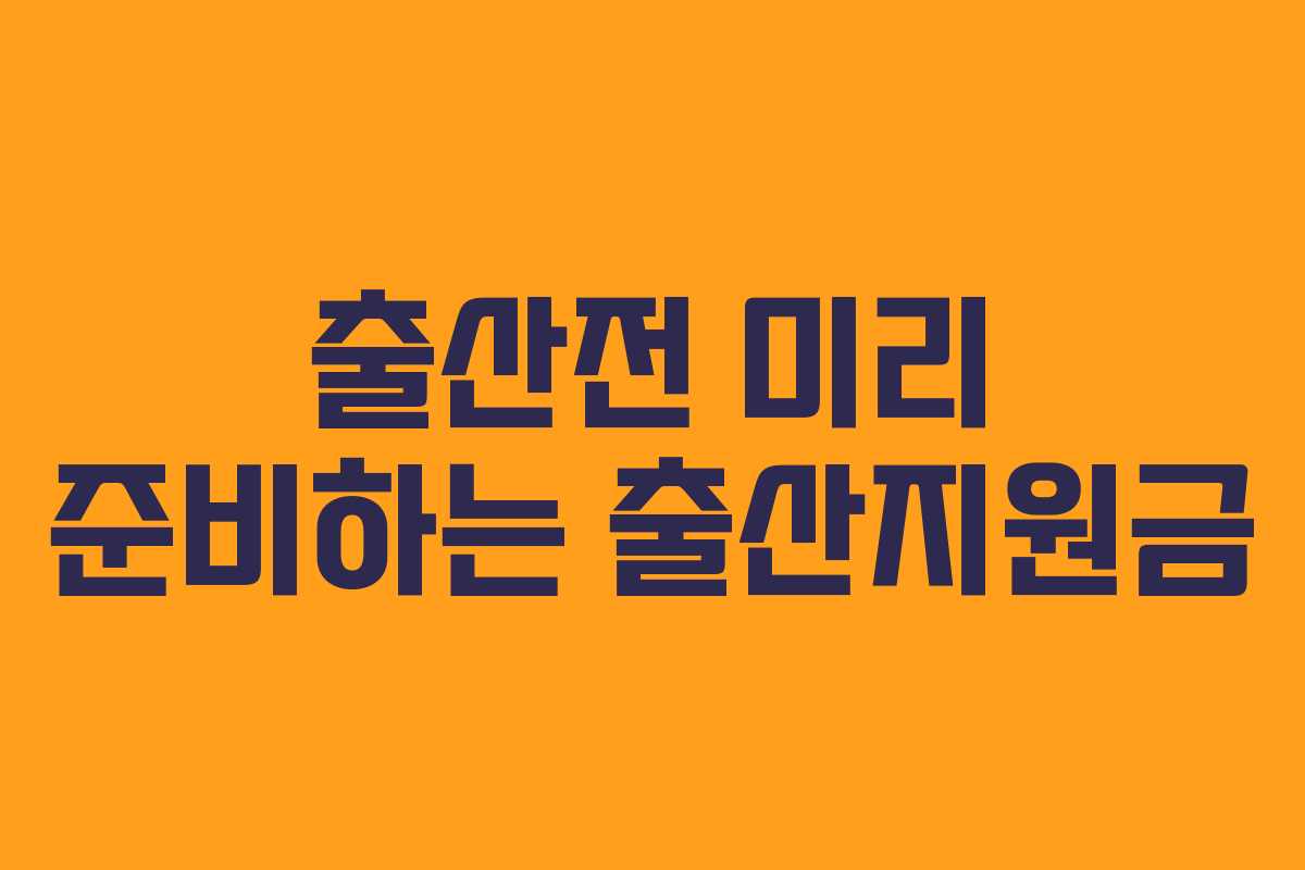 출산전 미리 준비하는 출산지원금