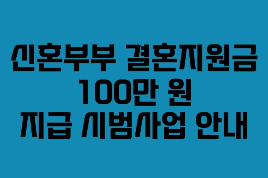 신혼부부 결혼지원금 100만 원 지급 시범사업 안내