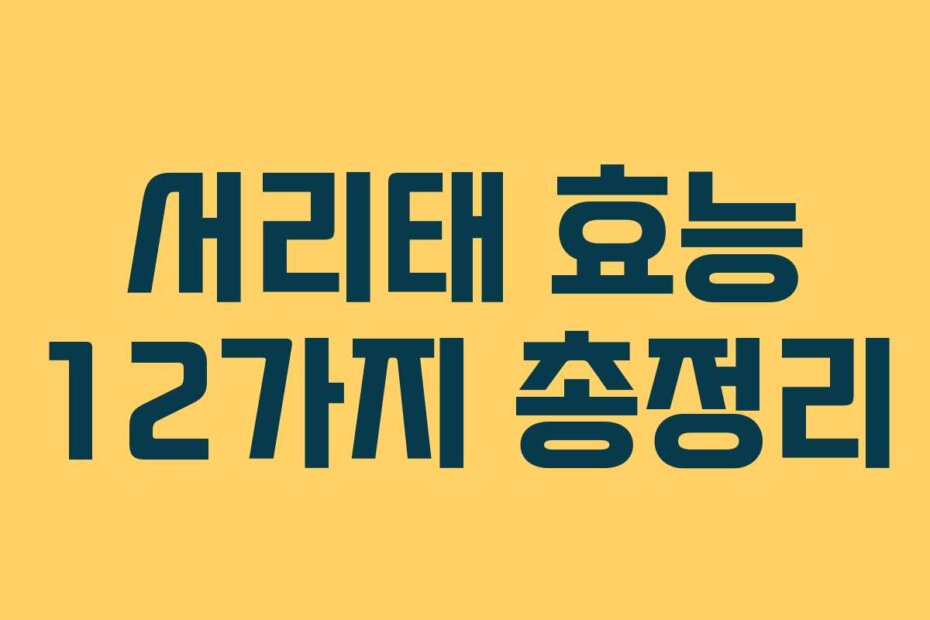 서리태 효능 12가지 총정리