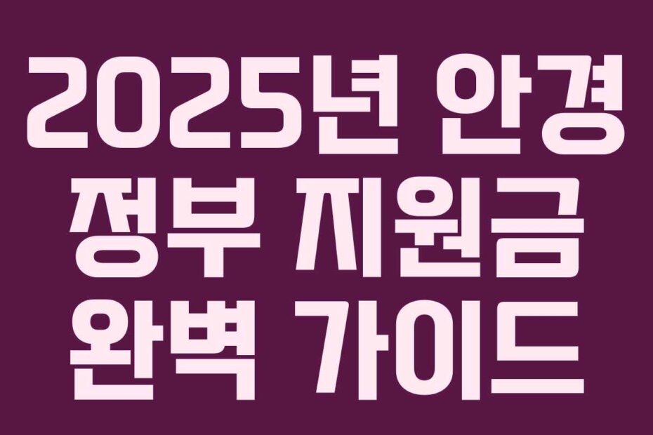 2025년 안경 정부 지원금 완벽 가이드