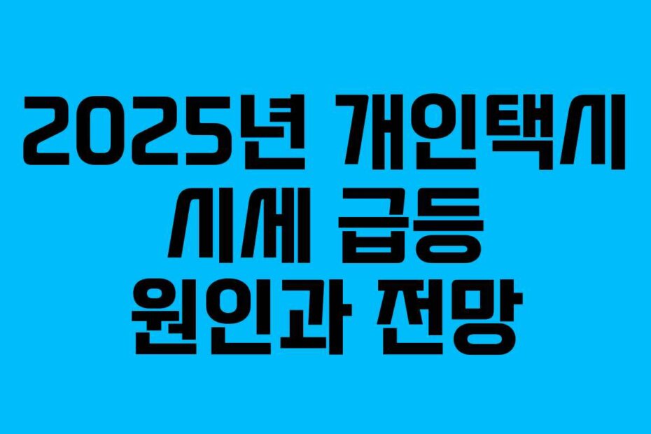 2025년 개인택시 시세 급등 원인과 전망