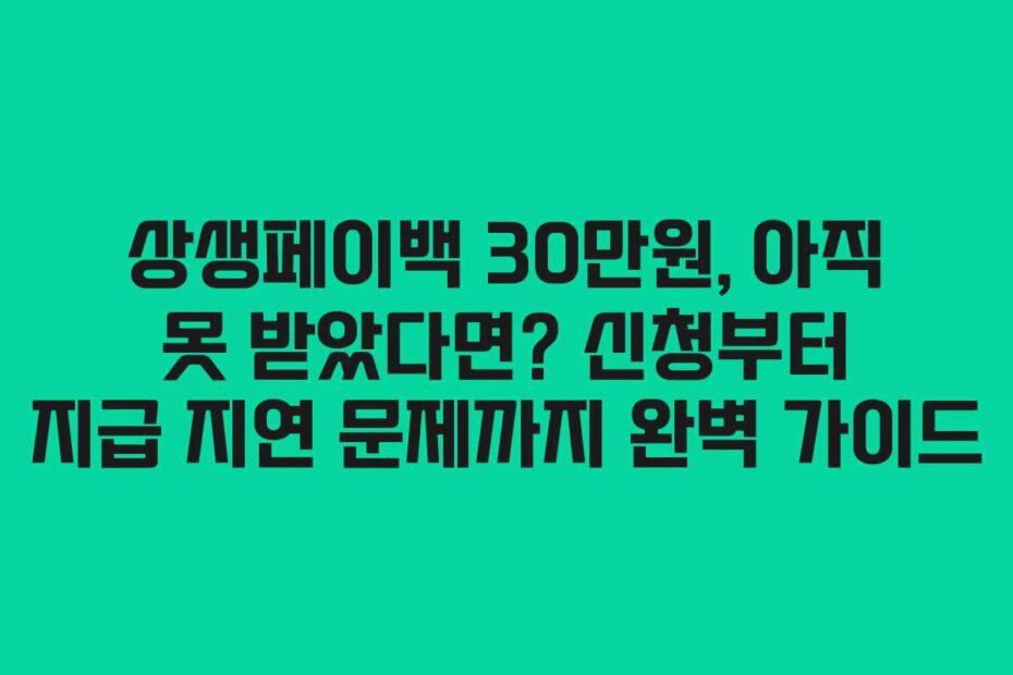 상생페이백 30만원, 아직 못 받았다면? 신청부터 지급 지연 문제까지 완벽 가이드