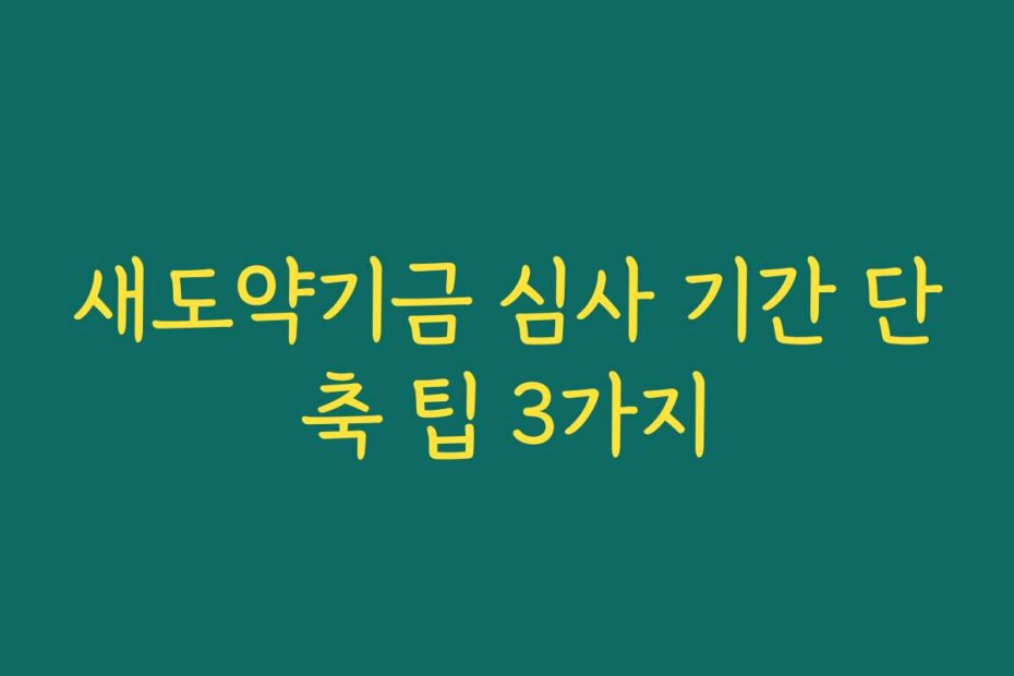 새도약기금 심사 기간 단축 팁 3가지