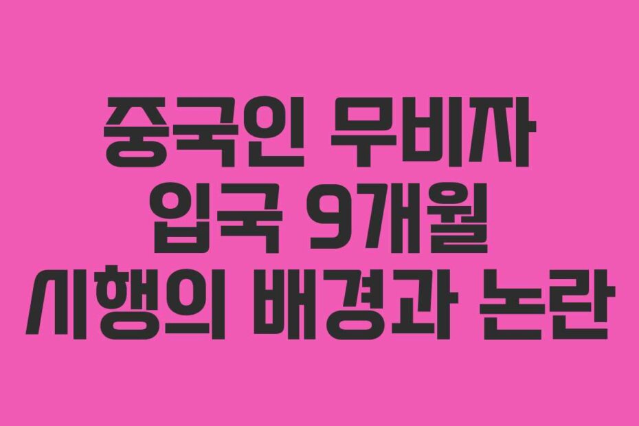 중국인 무비자 입국 9개월 시행의 배경과 논란