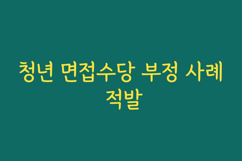 청년 면접수당 부정 사례 적발